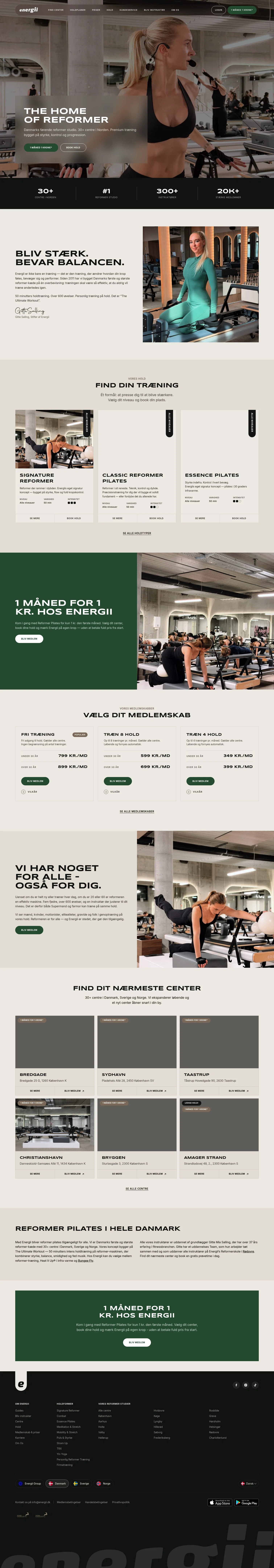 energii.dk on desktop