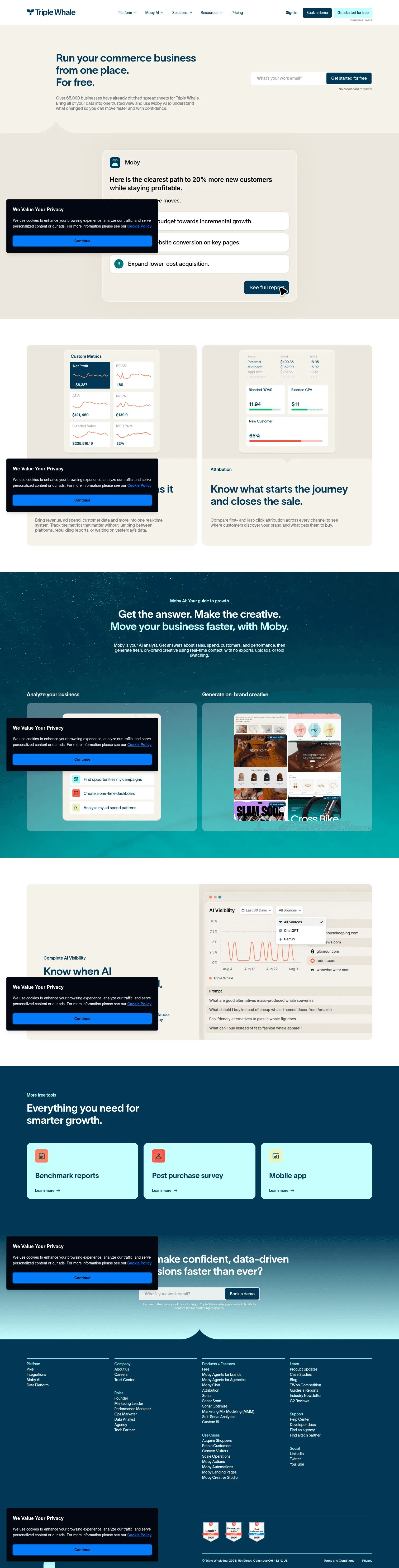 triplewhale.com/free on desktop, full screenshot
