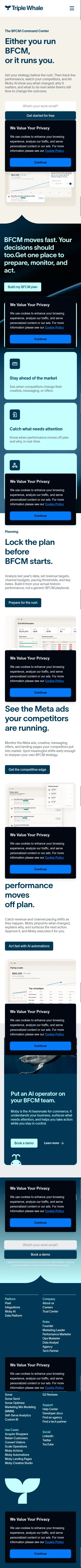 triplewhale.com/bfcm-command-center on mobile