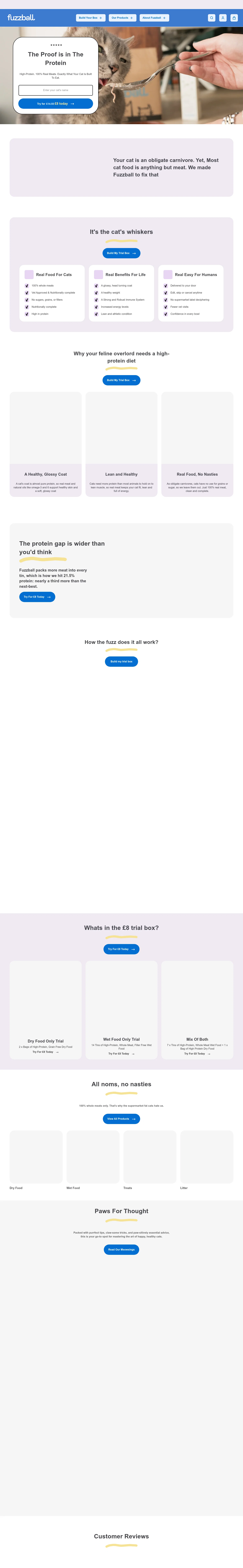 Fuzzball landing page