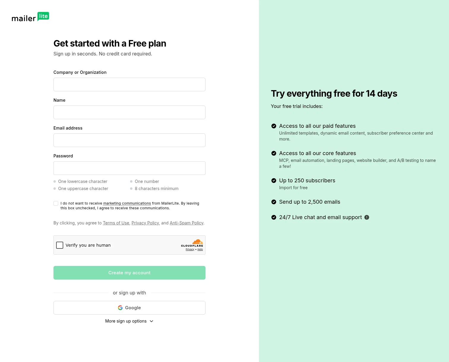 Mailer Lite landing page