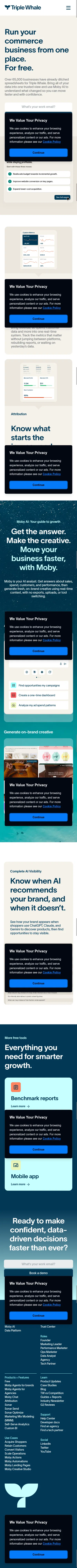 triplewhale.com/free on mobile, full screenshot