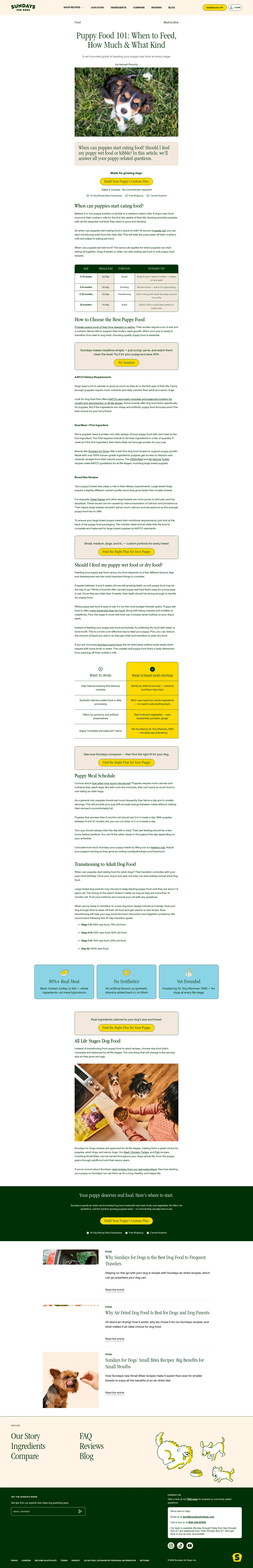 Sundays for Dogs landing page