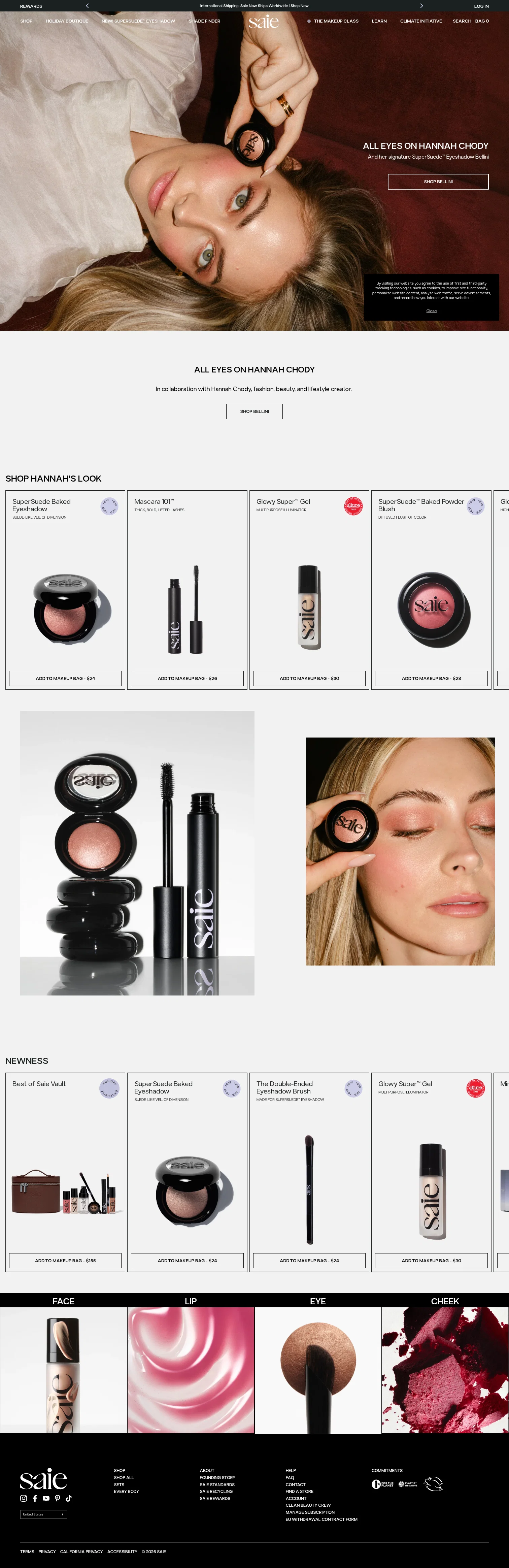 Saie landing page