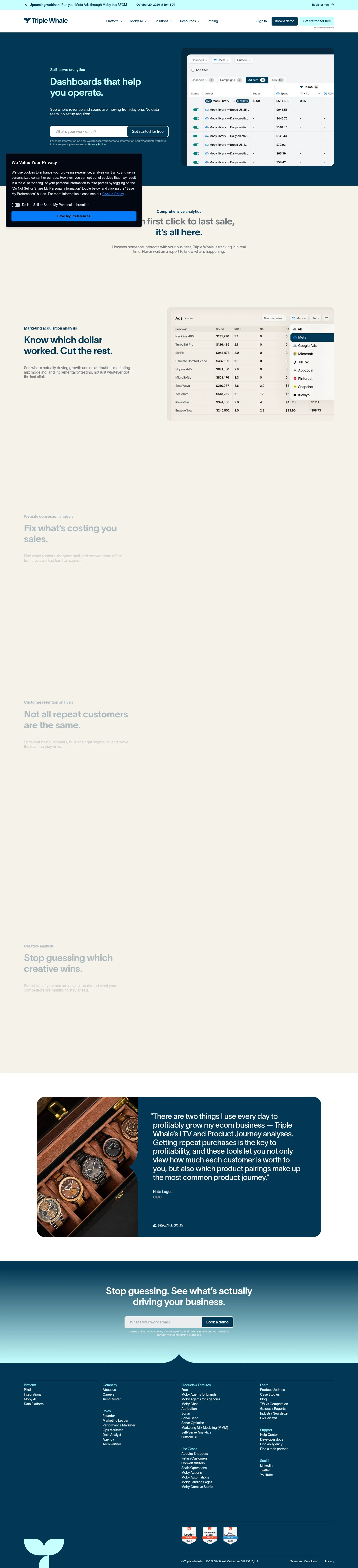 Triple Whale landing page
