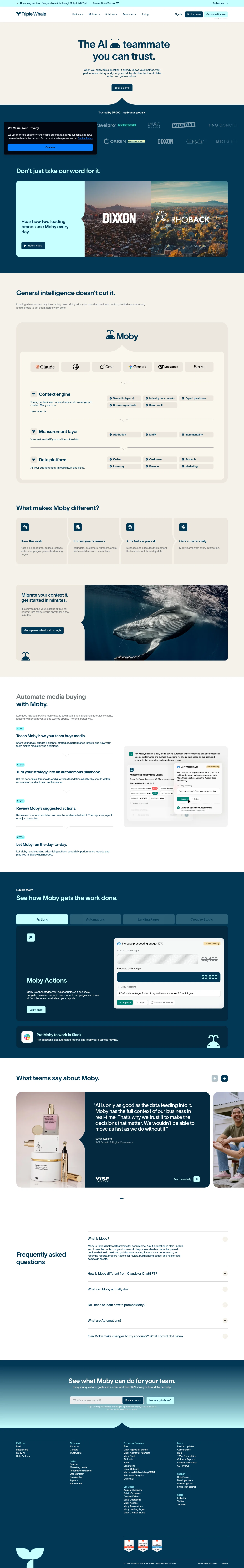Triple Whale landing page