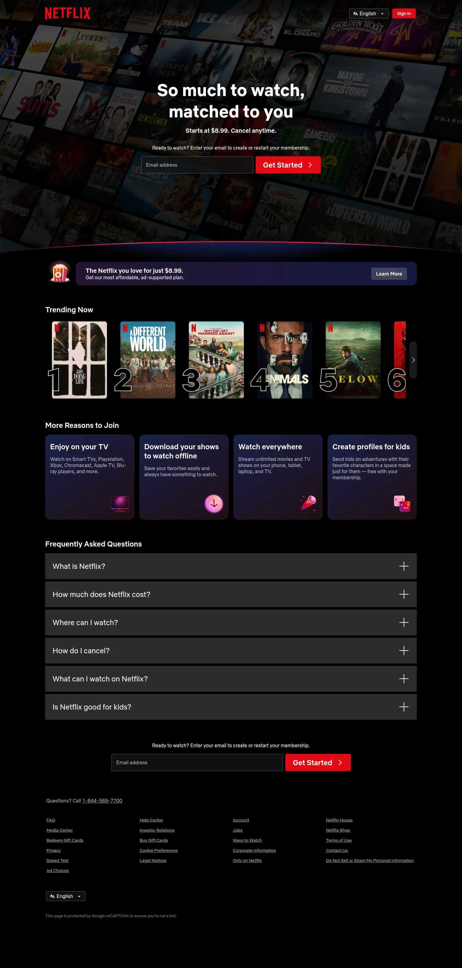 Netflix landing page