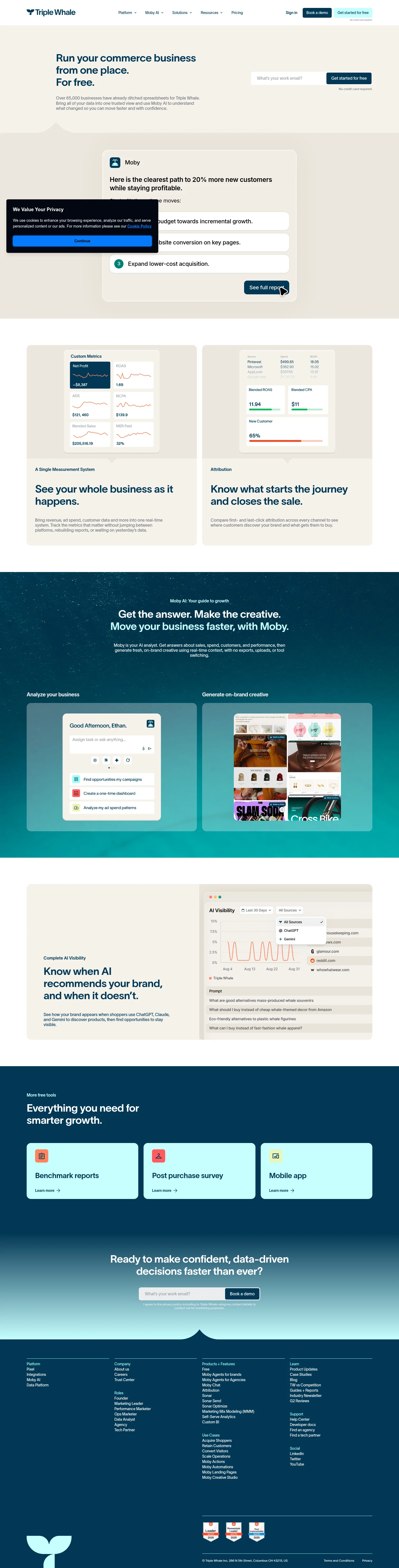 Triple Whale landing page