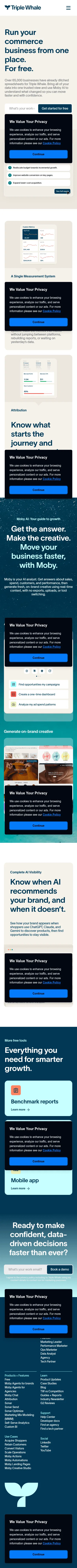 triplewhale.com/free on mobile, full screenshot