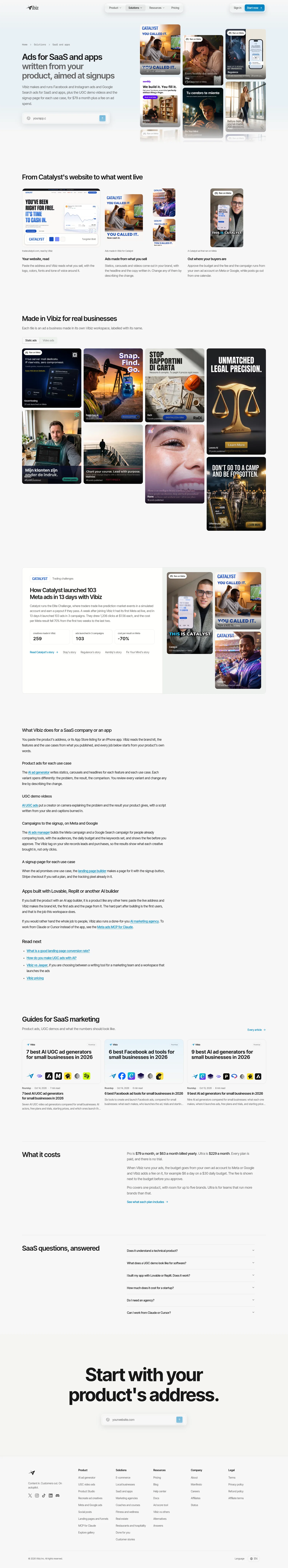 Vibiz landing page
