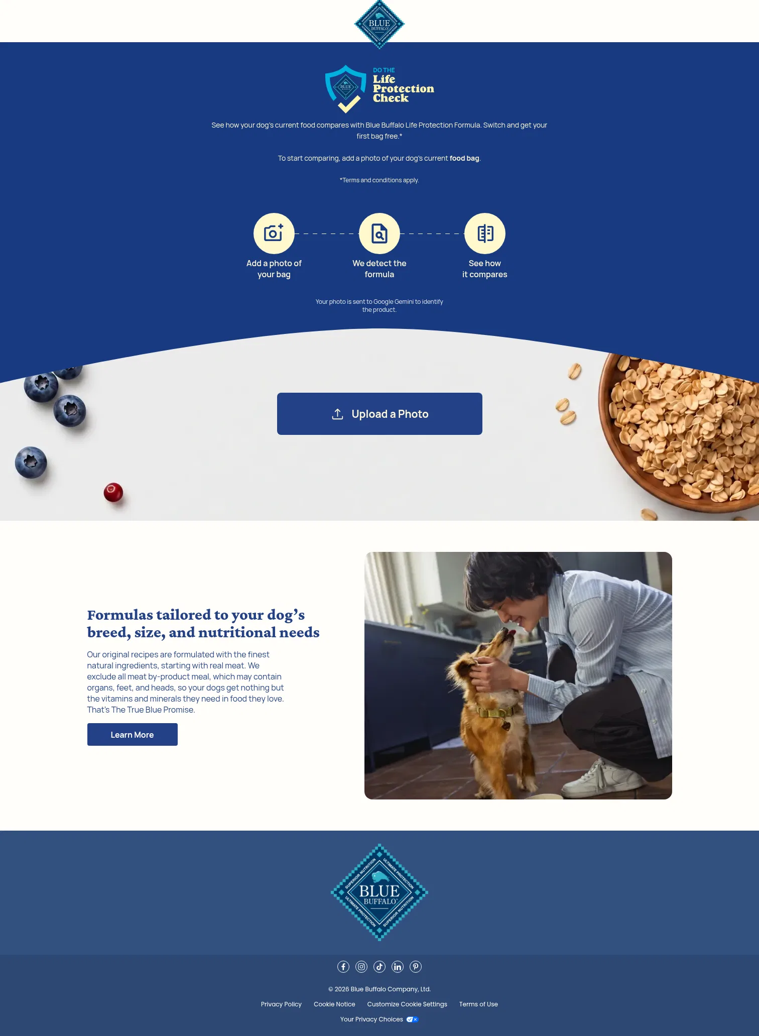 maketheswitch.bluebuffalo.com on desktop, full screenshot