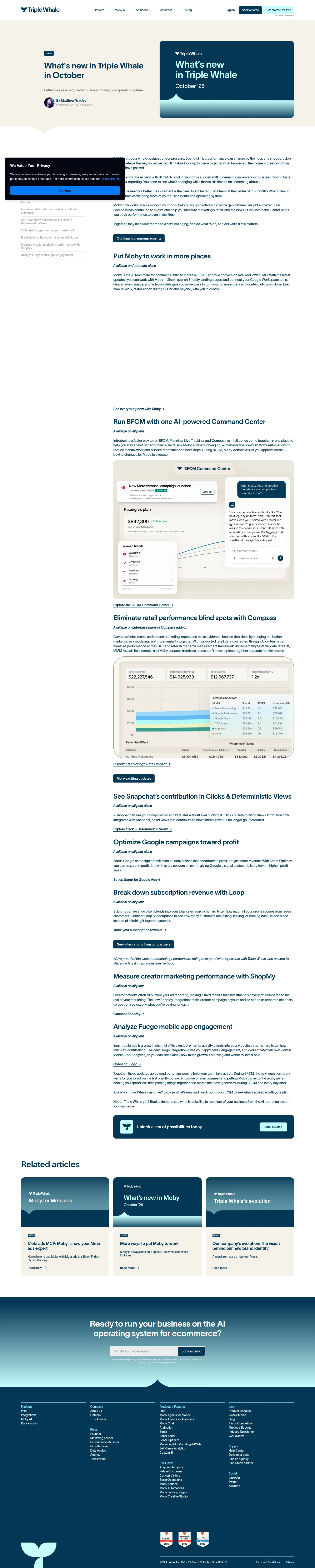 Triple Whale landing page