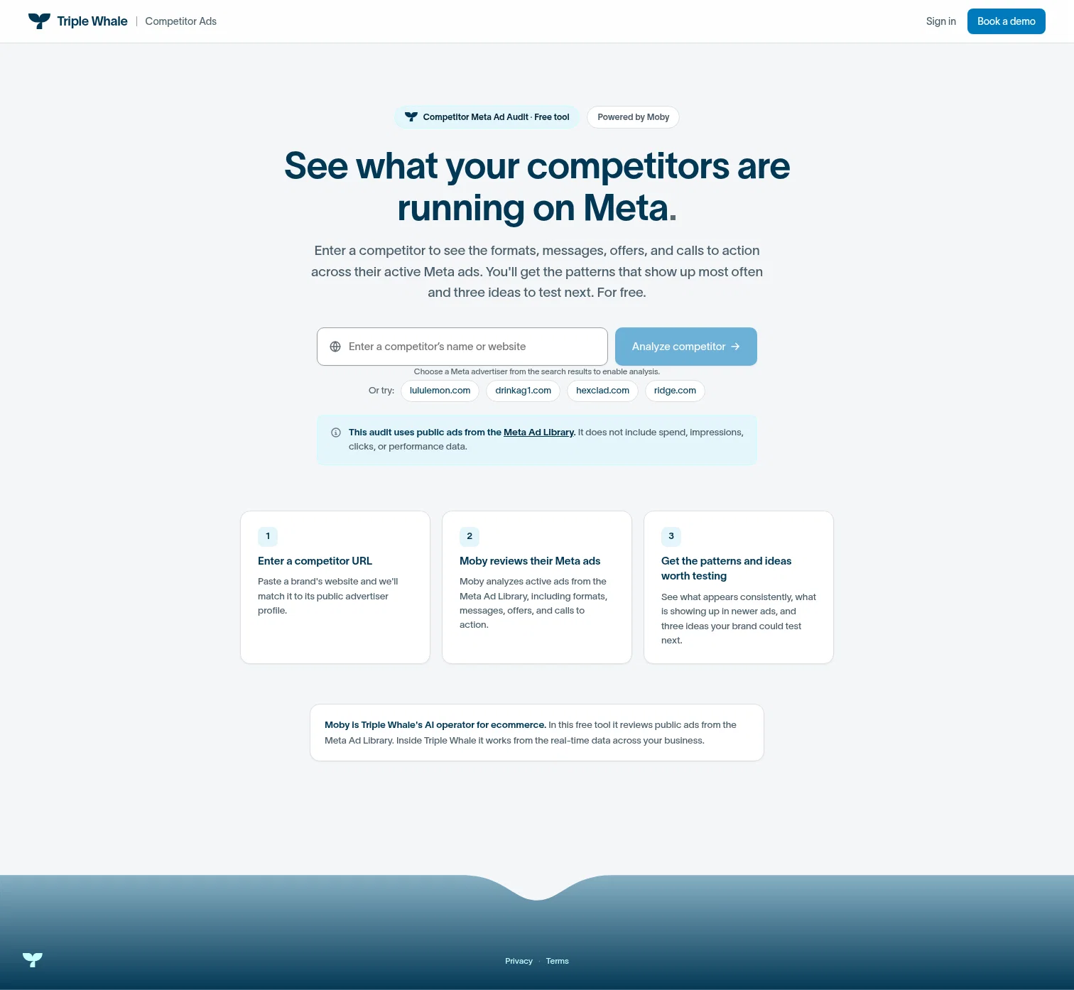 competitor-ads-tool.triplewhalelabs.com on desktop