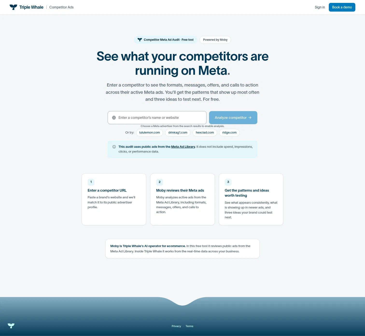 competitor-ads-tool.triplewhalelabs.com on desktop, full screenshot